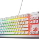 SteelSeries Apex 3 TKL White RGB Gaming Keyboard — Tenkeyless Compact Form Factor — 8-Zone RGB Illumination — Water and Dust Resistant — Whisper-Quiet Gaming Switch